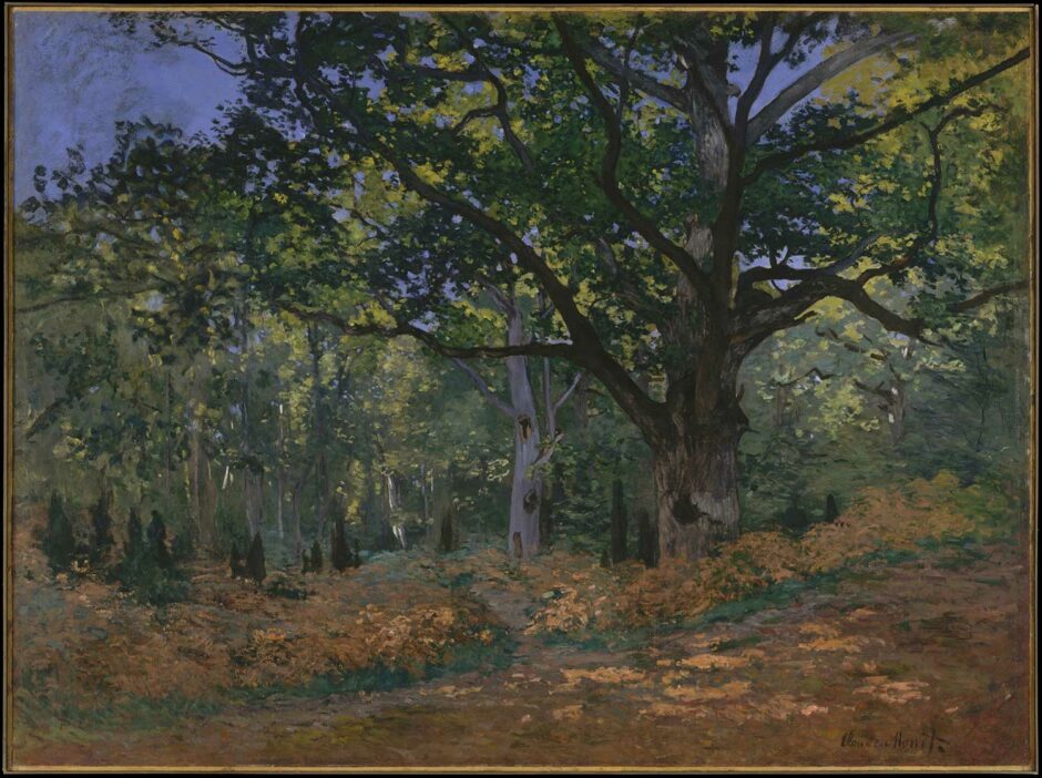 Claude Monet - Quercia bosco di Fontainebleu