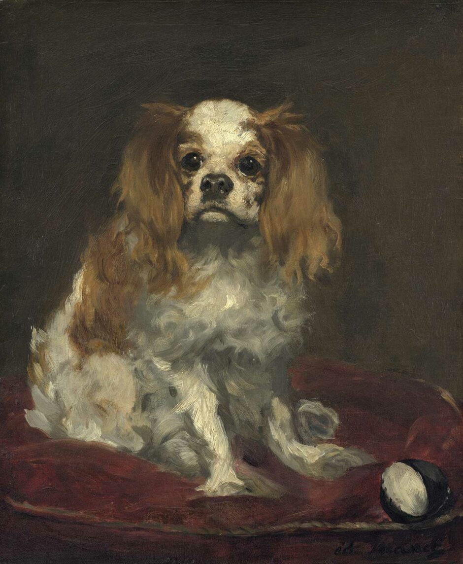 Edouard Manet - Cane maltese