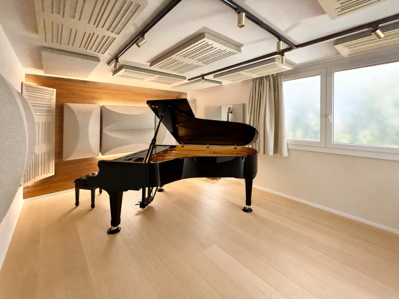Trattamento acustico pianoforte assorbimento e diffusione rubin dualem Oudimmo